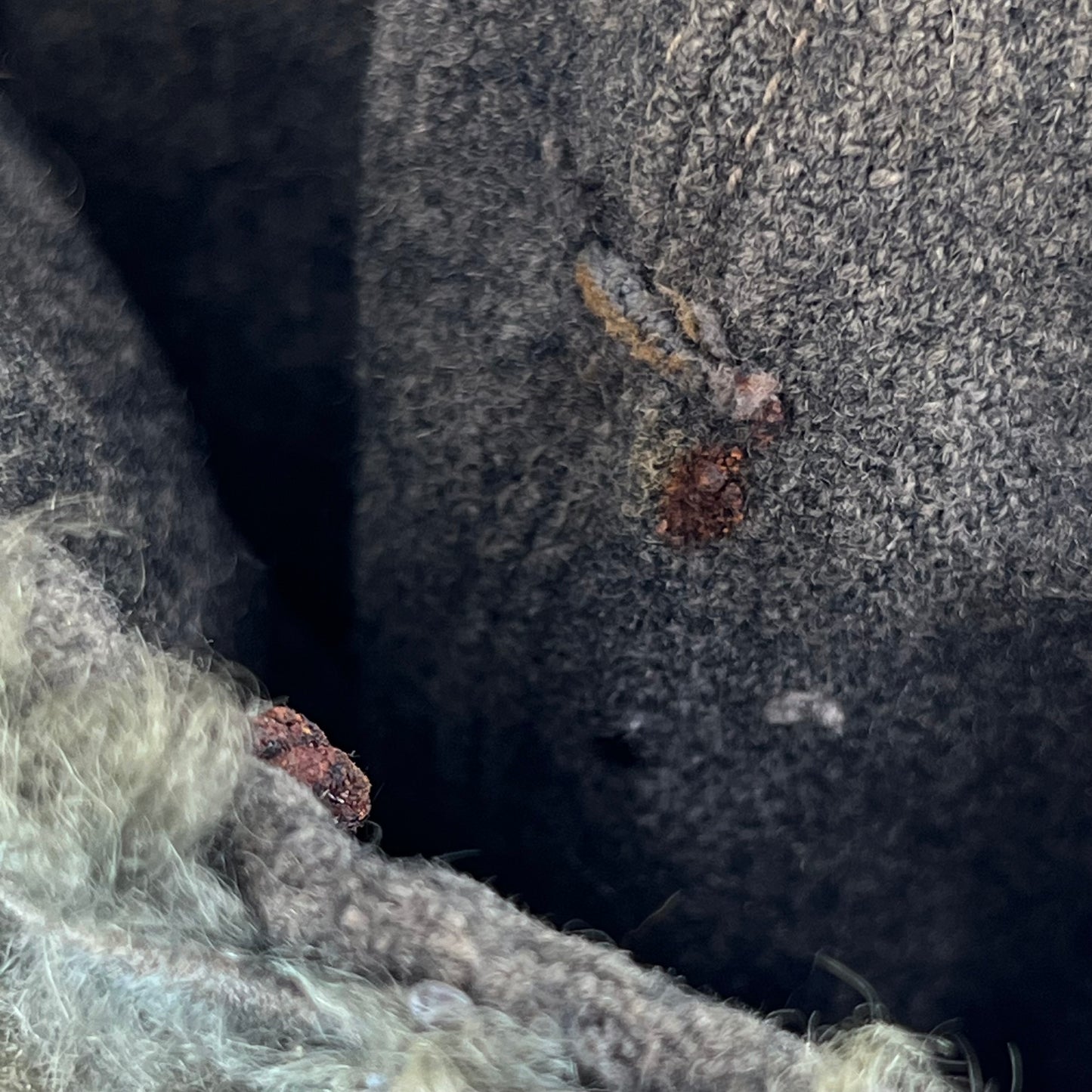 Finnish Army M39 Wool Ushanka Cap - Small