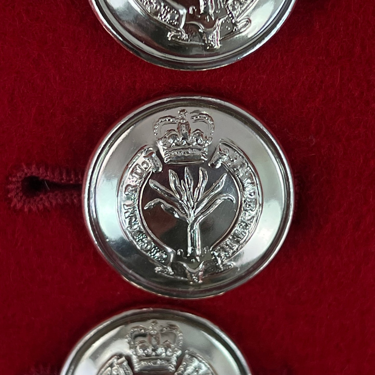 British Army Footguard's Jacket R & F w/ Wings - Welsh Guards - Medium